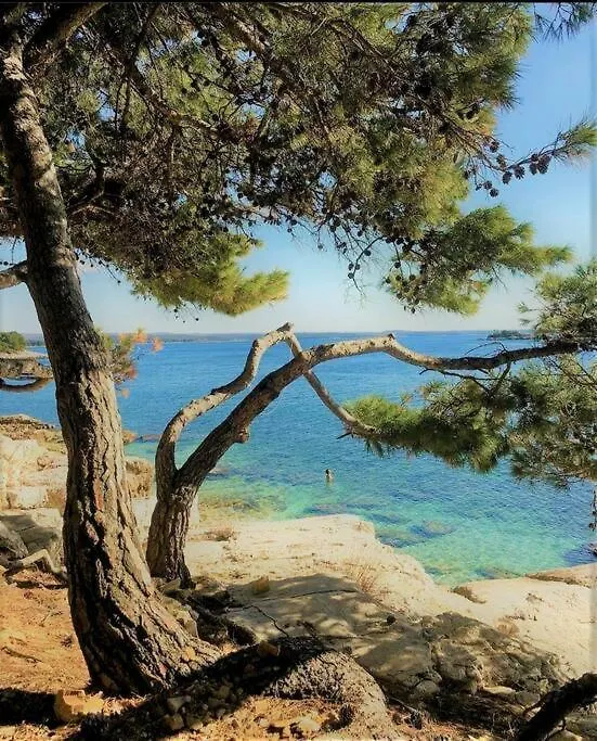 Appartement Apartman Uta Cocaletto à Rovinj